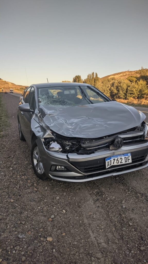 Venian a Comodoro y colisionaron con una vaca