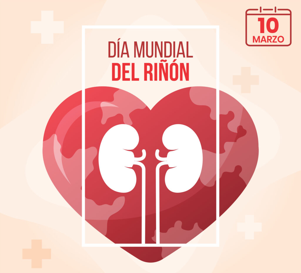 Día Mundial del Riñón: Las 8 reglas de oro para prevenir enfermedades ...