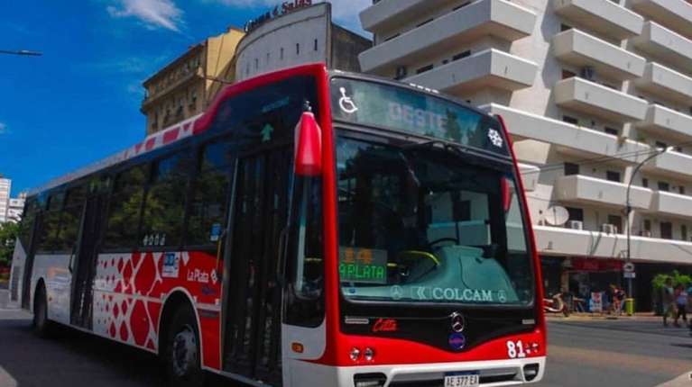 Detuvieron a un hombre por acosar a una niña y agredir dos mujeres en un colectivo: "Por algo las violan y aparecen muertas"