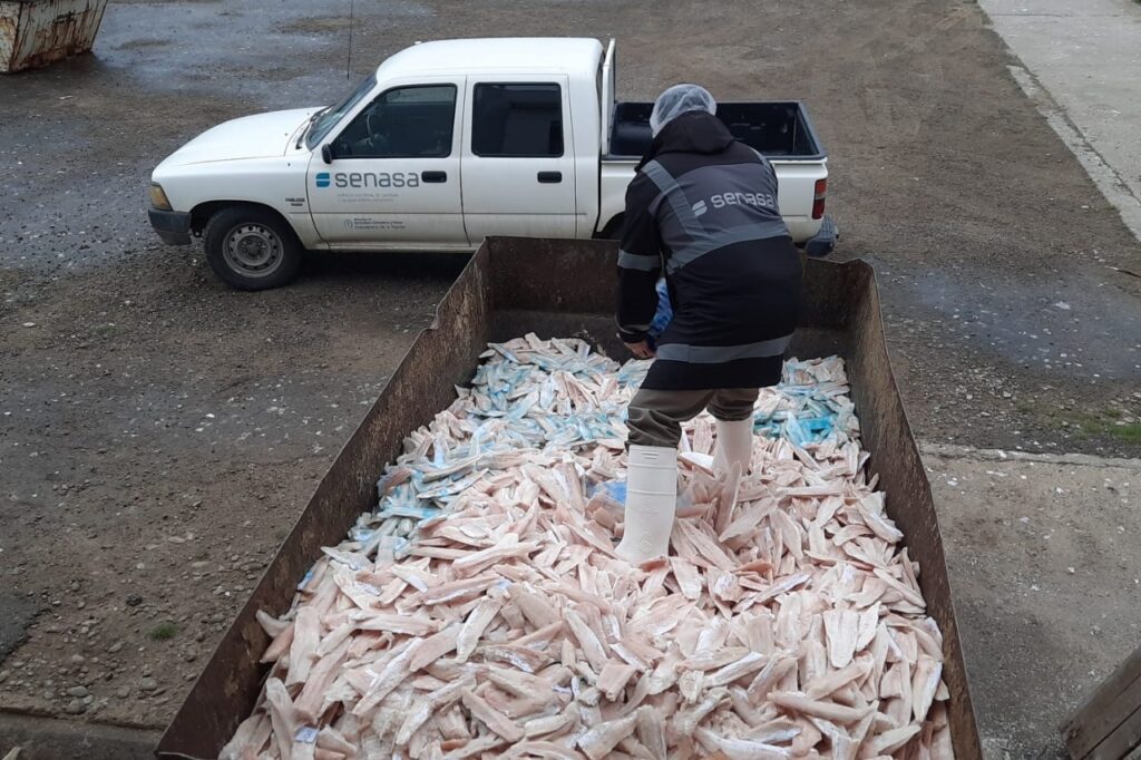 Decomisaron más de 18 mil kilos de merluza en Comodoro