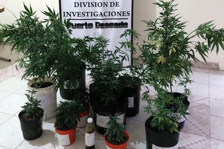 Puerto Deseado - Marihuana