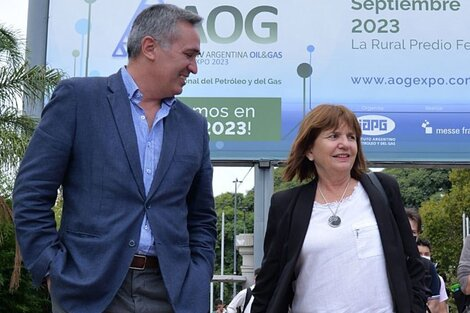 Diputado PRO Neuquen
