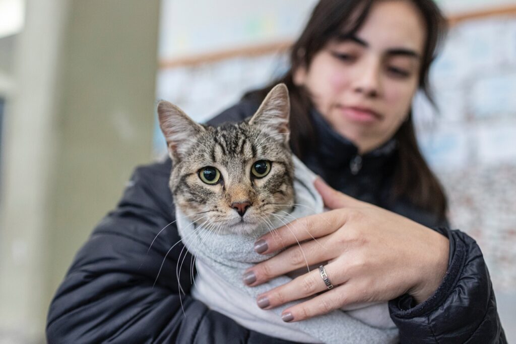 Esterilización canina y felina (2)