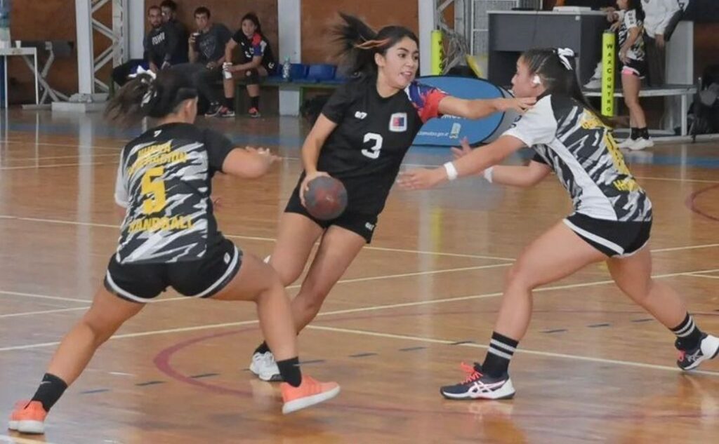Copa Pueyrredón de handball