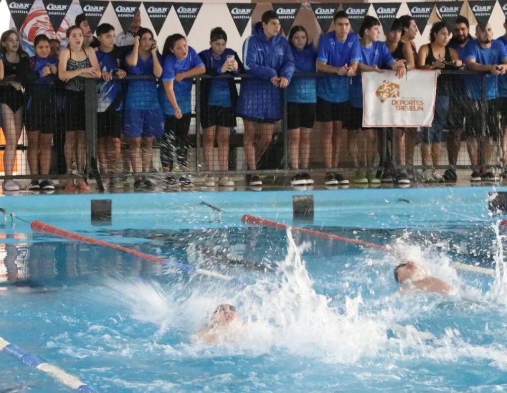 Natacion interclubes