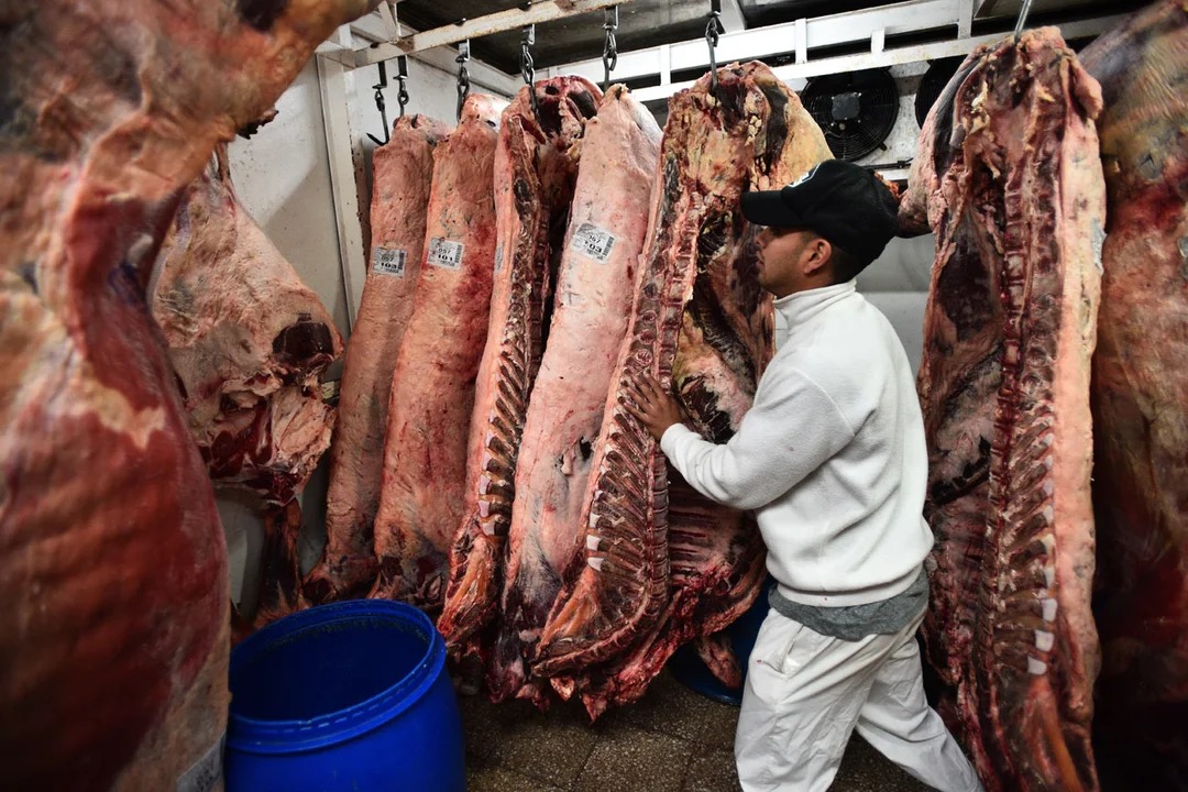 carne-chile