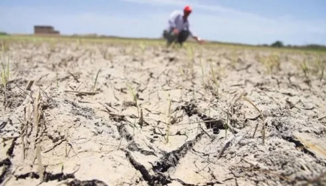 emergencia-agropecuaria-