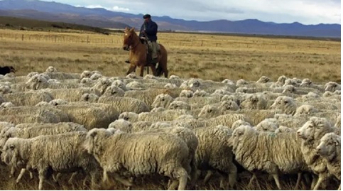 emergencia-agropecuaria